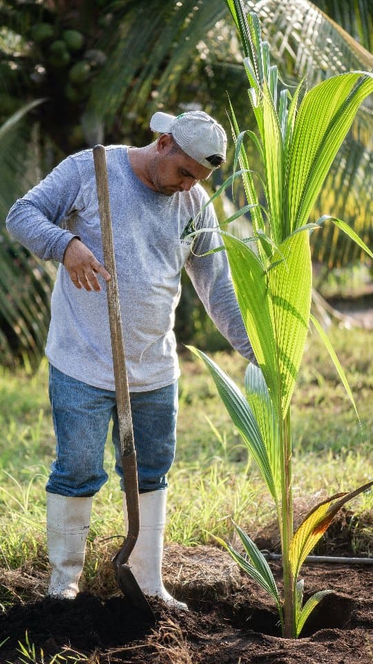 Sembramos el futuro