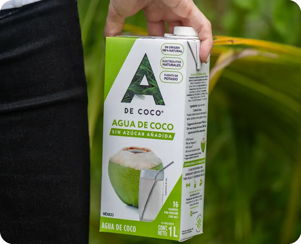 Una mano sostiene un envase de agua de coco A de Coco de 1 litro frente a hojas verdes
